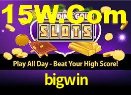 Programa VIP bigwin