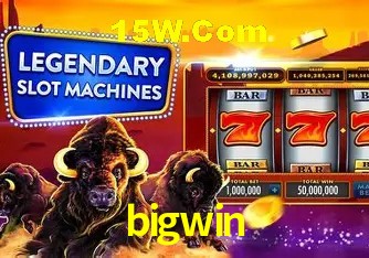  bigwin.com