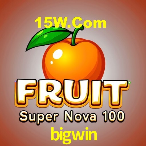 Programa VIP bigwin