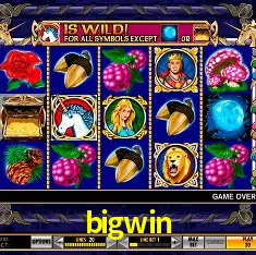 Sistemas de Segurança bigwin