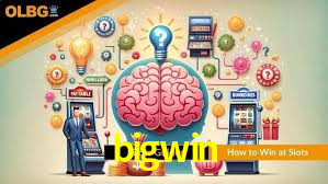 Live Casino bigwin