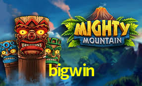 Game Statistics bigwin